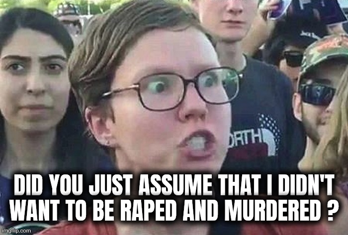 Triggered Liberal | DID YOU JUST ASSUME THAT I DIDN'T
WANT TO BE RAPED AND MURDERED ? | image tagged in triggered liberal | made w/ Imgflip meme maker