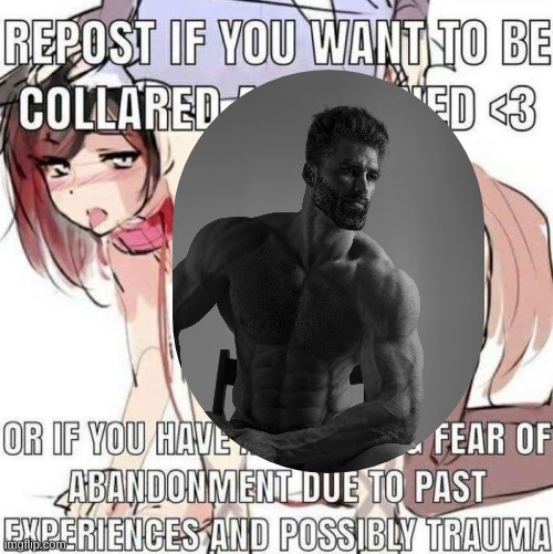 repost if meme #876 (relatable) | image tagged in repost if meme 876 relatable | made w/ Imgflip meme maker