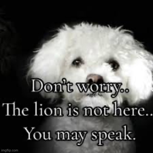 The lion is not here | made w/ Imgflip meme maker
