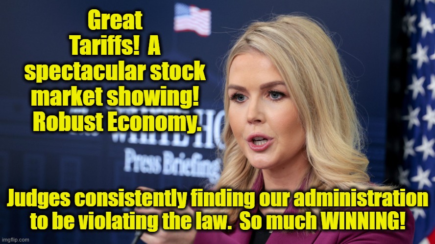 Karoline Leavitt Scolding | Great Tariffs!  A spectacular stock market showing!  Robust Economy. Judges consistently finding our administration to be violating the law. | image tagged in karoline leavitt scolding | made w/ Imgflip meme maker