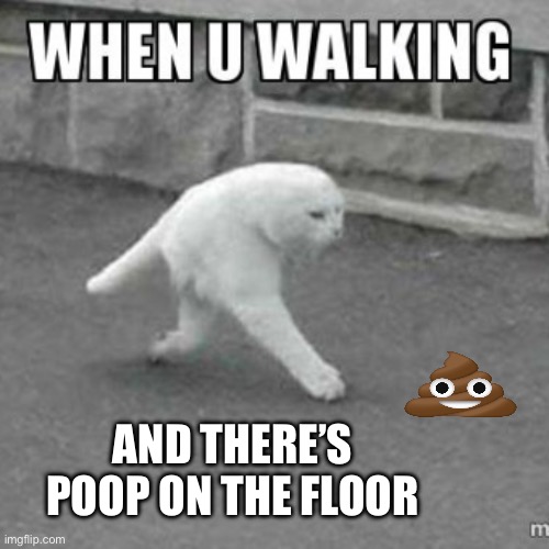 It’s hilarious but also gross | AND THERE’S POOP ON THE FLOOR | image tagged in when u walking,cat,funny | made w/ Imgflip meme maker
