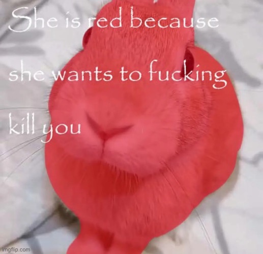 Red | made w/ Imgflip meme maker