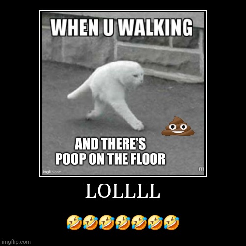 It's hilarious | LOLLLL | ??????? | image tagged in funny,demotivationals | made w/ Imgflip demotivational maker