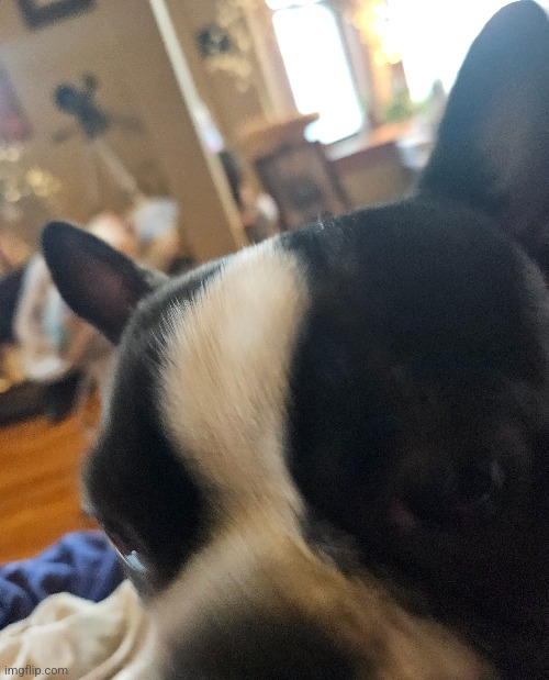 Archie forehead pic | made w/ Imgflip meme maker