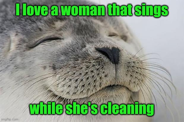 Satisfied Seal Meme | I love a woman that sings; while she's cleaning | image tagged in memes,satisfied seal | made w/ Imgflip meme maker