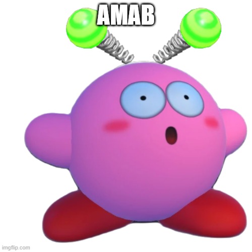 AMAB ? | AMAB | image tagged in vroby with that face | made w/ Imgflip meme maker