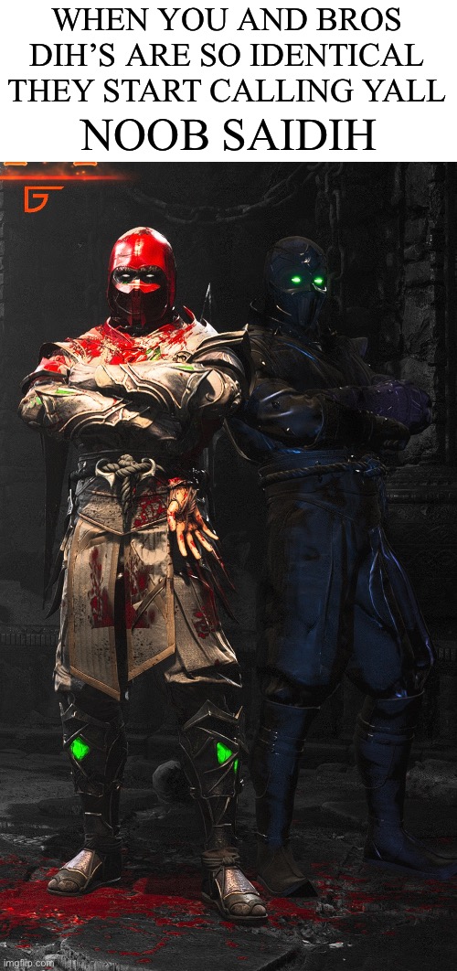 Noob Saidih | WHEN YOU AND BROS DIH’S ARE SO IDENTICAL THEY START CALLING YALL; NOOB SAIDIH | image tagged in mortal kombat | made w/ Imgflip meme maker