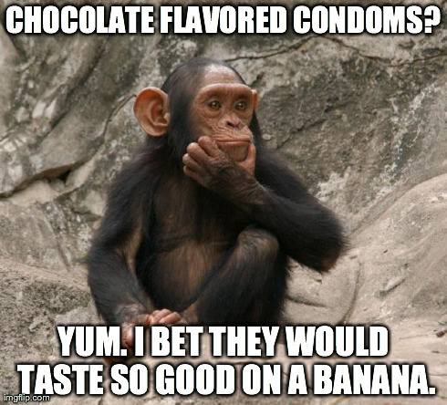 questioning monkey | CHOCOLATE FLAVORED CONDOMS? YUM. I BET THEY WOULD TASTE SO GOOD ON A BANANA. | image tagged in questioning monkey,actuallesbians | made w/ Imgflip meme maker