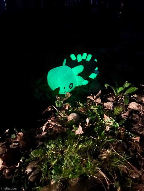 wild creature | made w/ Imgflip meme maker