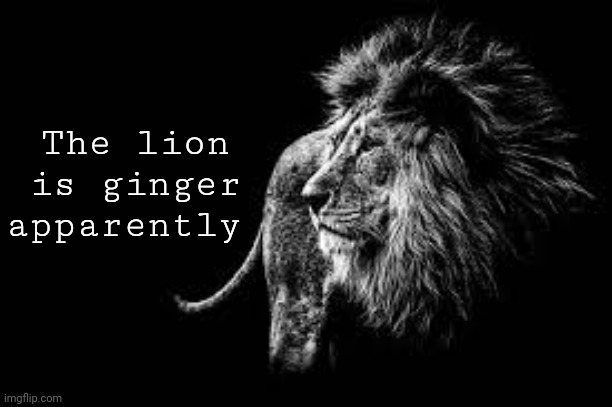 And he talks shit online | The lion is ginger apparently | image tagged in blank lion template | made w/ Imgflip meme maker