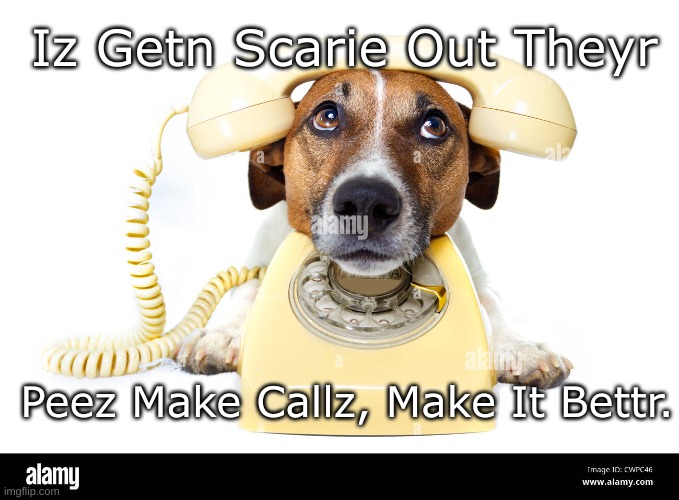Getting Scary Dog Phone | Iz Getn Scarie Out Theyr; Peez Make Callz, Make It Bettr. | image tagged in dog yellow phone,getting scary make calls | made w/ Imgflip meme maker