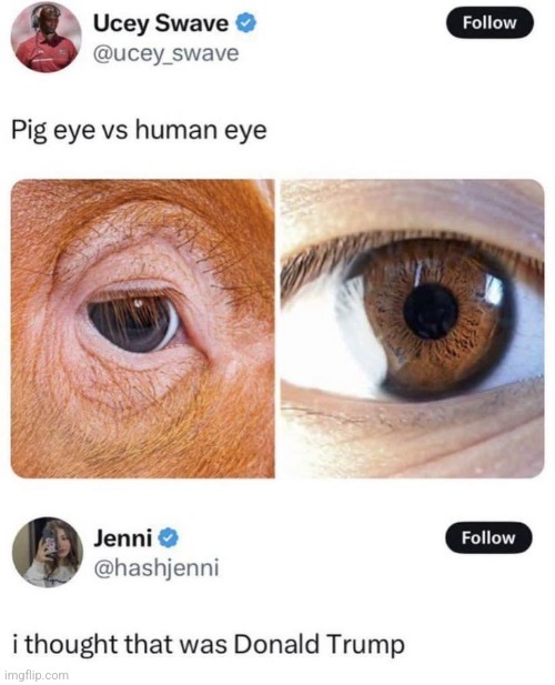 Pinterest seems funny today wow thats so fucking rare | made w/ Imgflip meme maker
