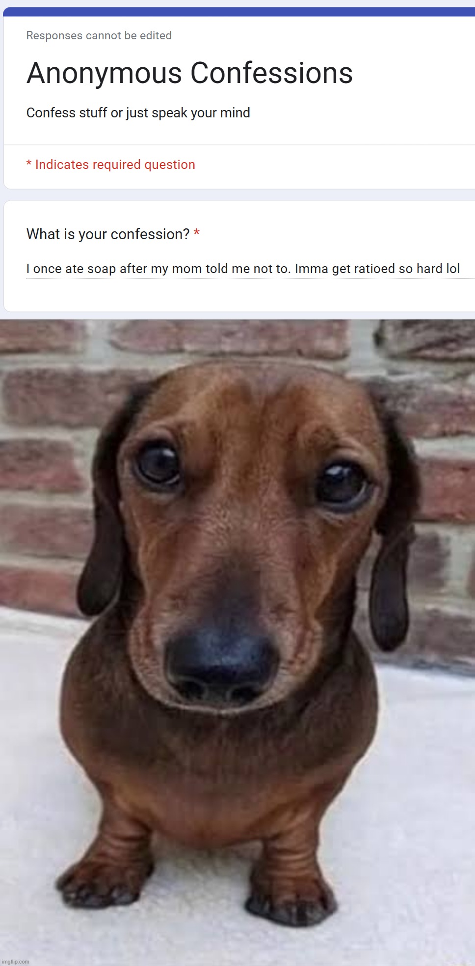 image tagged in this n word so retarded dog | made w/ Imgflip meme maker