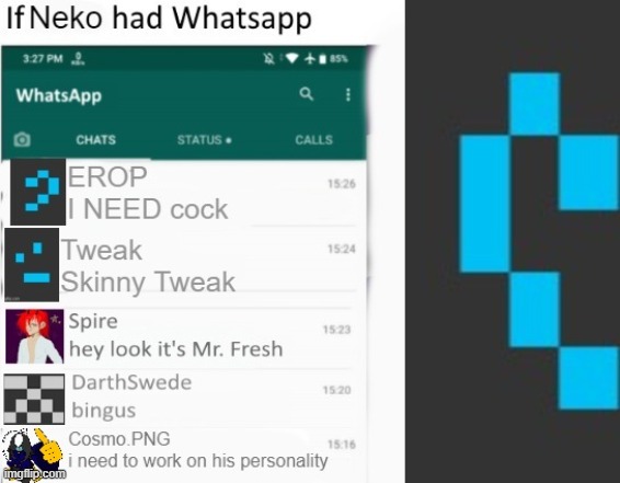 If Neko had Whatsapp V2 | image tagged in if neko had whatsapp v2 | made w/ Imgflip meme maker