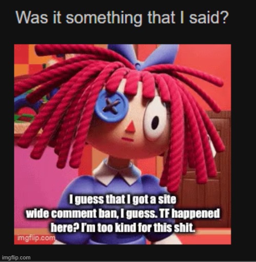 HOW did my bro manage to get site-wide comment banned, really square off | made w/ Imgflip meme maker