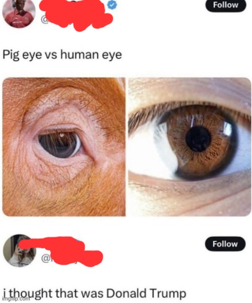 Real | image tagged in real | made w/ Imgflip meme maker