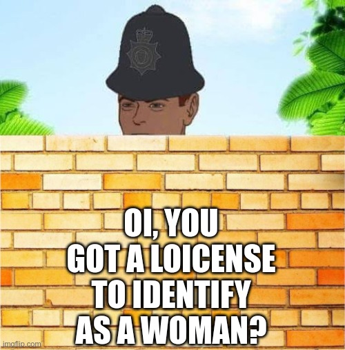 The UK Right Now | OI, YOU GOT A LOICENSE TO IDENTIFY AS A WOMAN? | image tagged in oi oi oi you got a licence for that chum | made w/ Imgflip meme maker