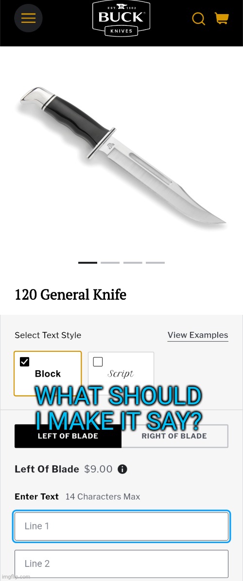 WHAT SHOULD I MAKE IT SAY? | made w/ Imgflip meme maker
