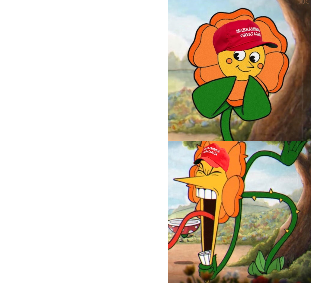 MAGA selective rage Blank Meme Template