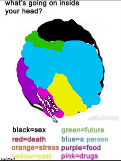 uh yeah | does concerta, caffiene, and melatonin count as a drug? | image tagged in what's going on inside your head | made w/ Imgflip meme maker