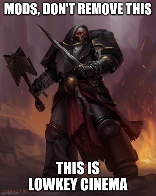 Black templar | MODS, DON'T REMOVE THIS THIS IS LOWKEY CINEMA | image tagged in black templar | made w/ Imgflip meme maker