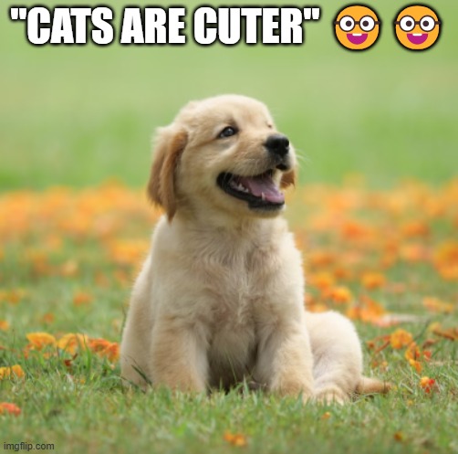 Dogs > cats | "CATS ARE CUTER" 🤓🤓 | image tagged in dog | made w/ Imgflip meme maker