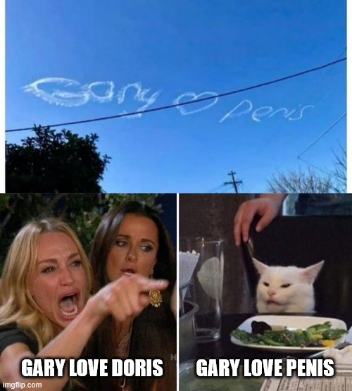 GARY LOVE DORIS; GARY LOVE PENIS | image tagged in woman argues with cat | made w/ Imgflip meme maker