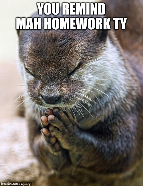 Thank you Lord Otter | YOU REMIND MAH HOMEWORK TY | image tagged in thank you lord otter | made w/ Imgflip meme maker