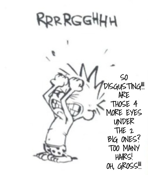 Frustrating | SO DISGUSTING!!! ARE THOSE 4 MORE EYES UNDER THE 2 BIG ONES? TOO MANY HAIRS! OH, GROSS!!! | image tagged in frustrating | made w/ Imgflip meme maker