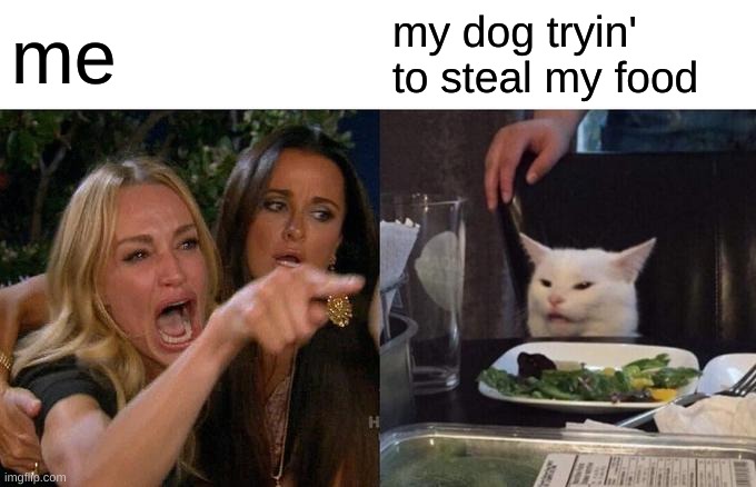 funny dog meme | me; my dog tryin' to steal my food | image tagged in memes,woman yelling at cat | made w/ Imgflip meme maker