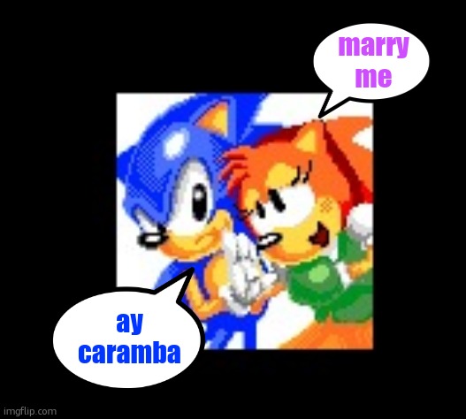 Classic Sonamy | marry me; ay caramba | image tagged in classic sonamy | made w/ Imgflip meme maker