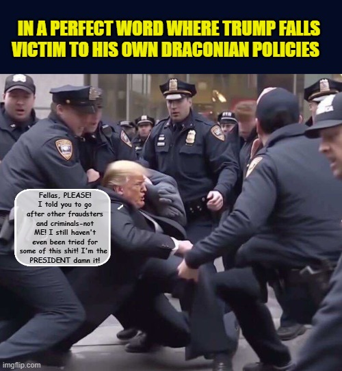 Mr. Trump Goes To El Salvador | IN A PERFECT WORD WHERE TRUMP FALLS VICTIM TO HIS OWN DRACONIAN POLICIES; Fellas, PLEASE! I told you to go after other fraudsters and criminals-not ME! I still haven't even been tried for some of this shit! I'm the 
PRESIDENT damn it! | image tagged in impeach trump,donald trump memes,trump is a moron,government corruption,secure the border | made w/ Imgflip meme maker