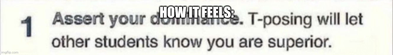 T posing | HOW IT FEELS: | image tagged in t posing | made w/ Imgflip meme maker