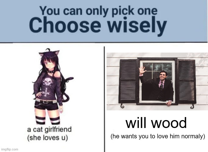 Choose wisely | will wood; (he wants you to love him normaly) | image tagged in choose wisely | made w/ Imgflip meme maker