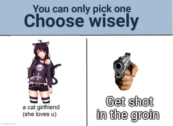 Choose wisely | Get shot in the groin | image tagged in choose wisely | made w/ Imgflip meme maker