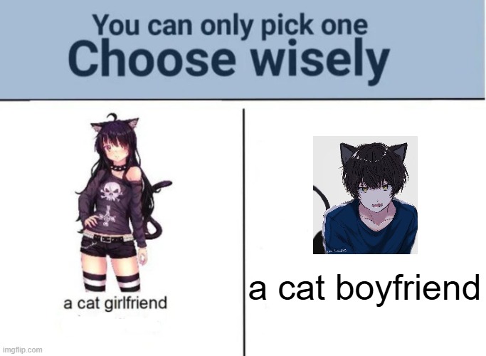 Choose wisely | a cat boyfriend | image tagged in choose wisely | made w/ Imgflip meme maker
