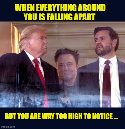 Cause it's a Ketamine kind of day... | WHEN EVERYTHING AROUND YOU IS FALLING APART; BUT YOU ARE WAY TOO HIGH TO NOTICE ... | image tagged in impeach trump,elon musk,trump is a moron,government corruption,donald trump is an idiot | made w/ Imgflip meme maker