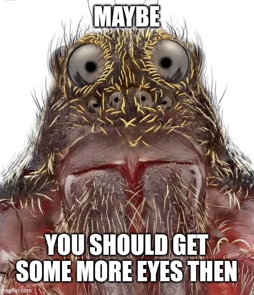 MAYBE YOU SHOULD GET SOME MORE EYES THEN | made w/ Imgflip meme maker