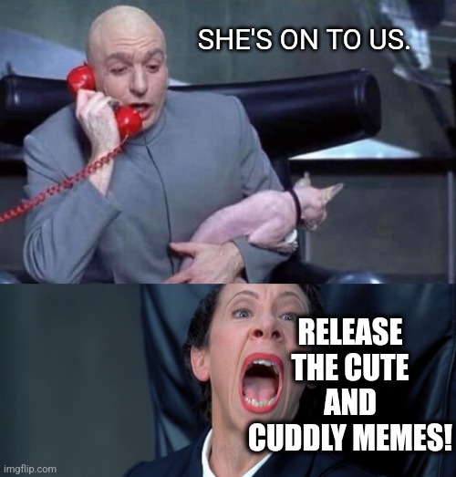 Dr Evil and Frau | SHE'S ON TO US. RELEASE THE CUTE AND CUDDLY MEMES! | image tagged in dr evil and frau | made w/ Imgflip meme maker