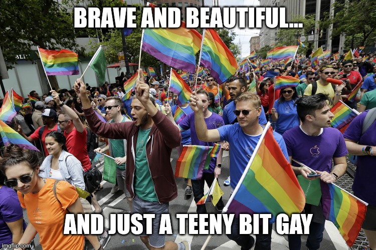 gay parade | BRAVE AND BEAUTIFUL... AND JUST A TEENY BIT GAY | image tagged in gay parade | made w/ Imgflip meme maker