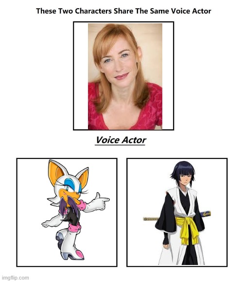 karen strassman | image tagged in same voice actor,karen strassman,sonic the hedgehog,bleach,sonic,sega | made w/ Imgflip meme maker