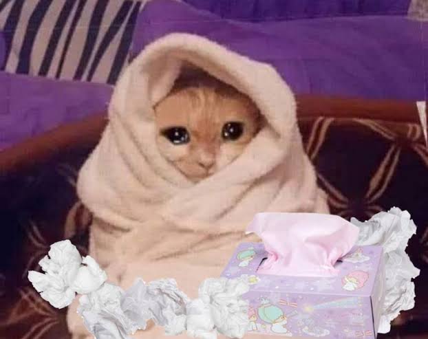 Sick cat Blank Meme Template