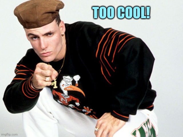 Vanilla Ice | TOO COOL! | image tagged in vanilla ice | made w/ Imgflip meme maker