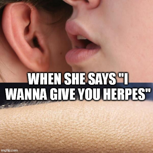 When she says "I wanna give you herpes" | WHEN SHE SAYS "I WANNA GIVE YOU HERPES" | image tagged in whisper and goosebumps,funny,herpes,crazy,sex,goosebumps | made w/ Imgflip meme maker