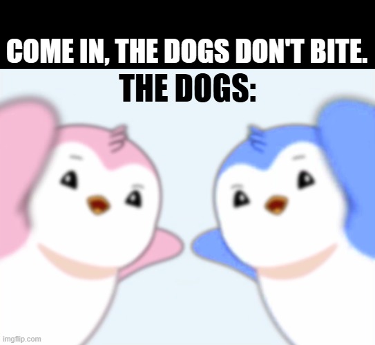 When they say the dogs don't bite | COME IN, THE DOGS DON'T BITE. THE DOGS: | image tagged in penguin,penguins,angry penguin,does your dog bite,come on,does he bite | made w/ Imgflip meme maker