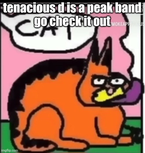 CAT | tenacious d is a peak band
go check it out | image tagged in cat | made w/ Imgflip meme maker