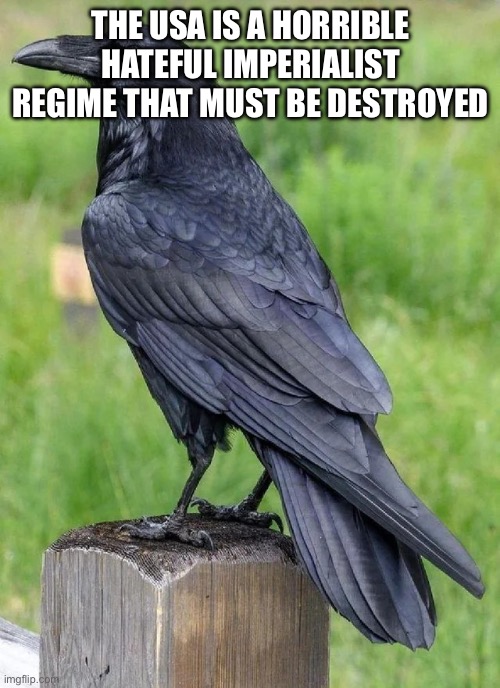 Raven | THE USA IS A HORRIBLE HATEFUL IMPERIALIST REGIME THAT MUST BE DESTROYED | image tagged in raven | made w/ Imgflip meme maker