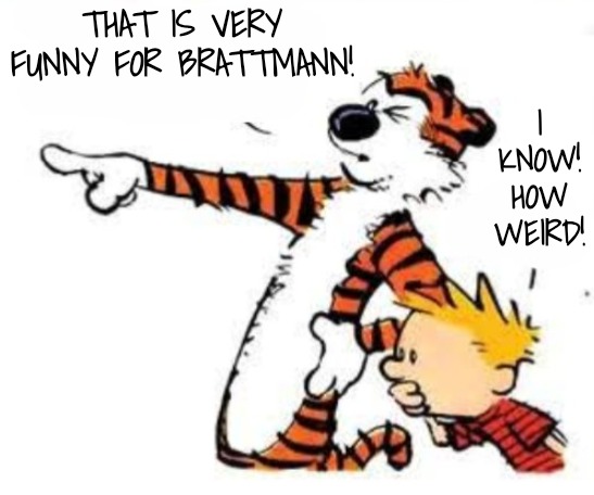 Whoa | THAT IS VERY FUNNY FOR BRATTMANN! I KNOW! HOW WEIRD! | image tagged in whoa | made w/ Imgflip meme maker