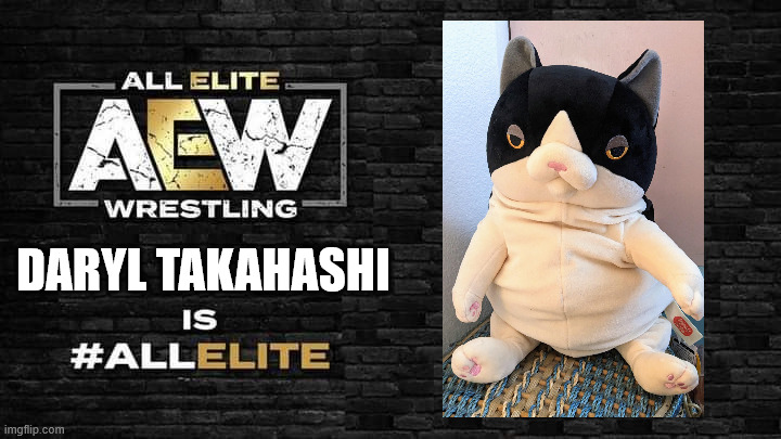 Is all elite | DARYL TAKAHASHI | image tagged in is all elite | made w/ Imgflip meme maker