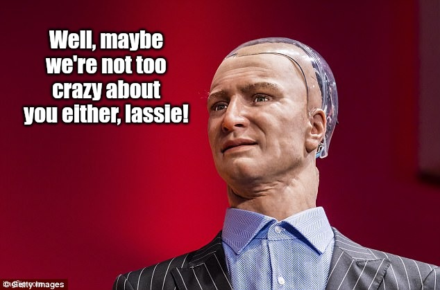 Han AI robot | Well, maybe we're not too crazy about you either, lassie! | image tagged in han ai robot | made w/ Imgflip meme maker